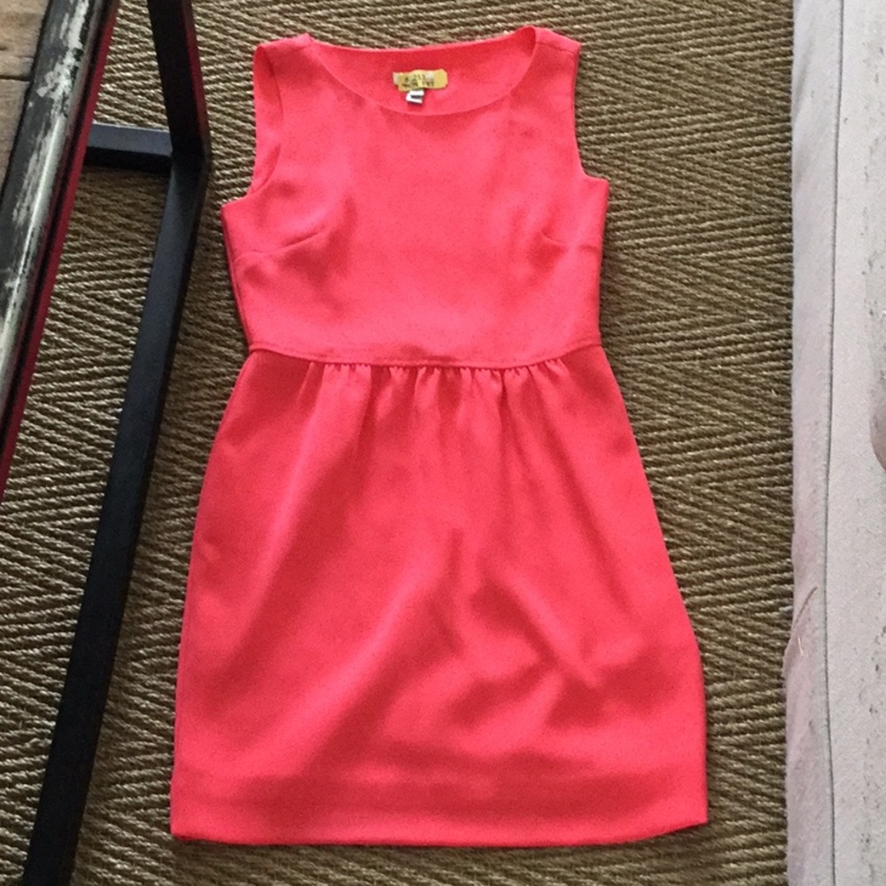 J crew dress